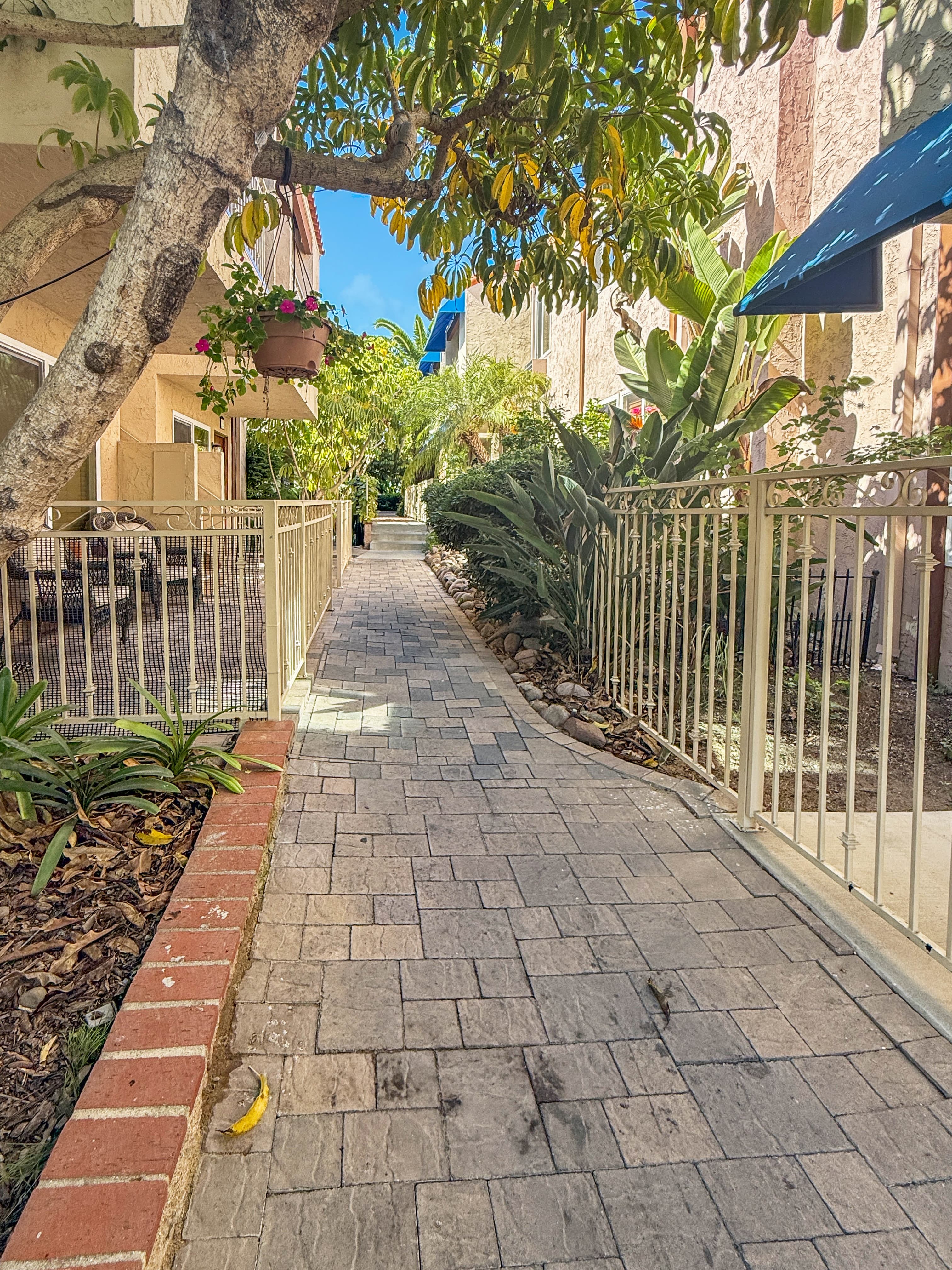 Palm-lined walkway through the community